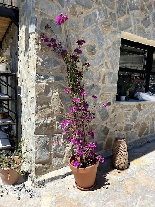 Beautiful Ligurian House With Pool Villa Villa Viani Italy